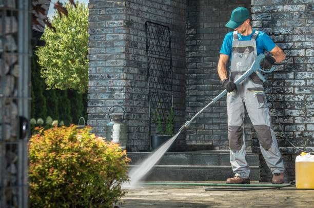 Best Animal Enclosure Cleaning  in Longview Heights, WA