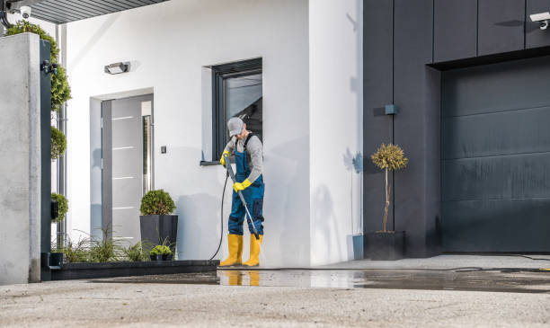 Best Warehouse Cleaning  in Longview Heights, WA